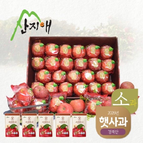 [햇사과] 산지애 씻어나온 어린이 꿀사과 4.5kg+실속사과주스 5팩 1box (소과)