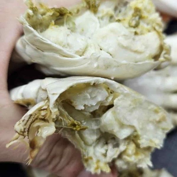 S자사협력사 한반도 국내산 냉동 숫꽃게 2kg 손질꽃게 꽃게철 게장꽃게 꽃게요리(WFPDK9U)