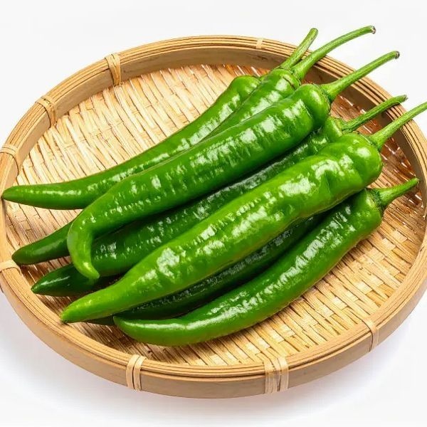 고추 국내산 청양고추 알싸한 매운고추 1kg