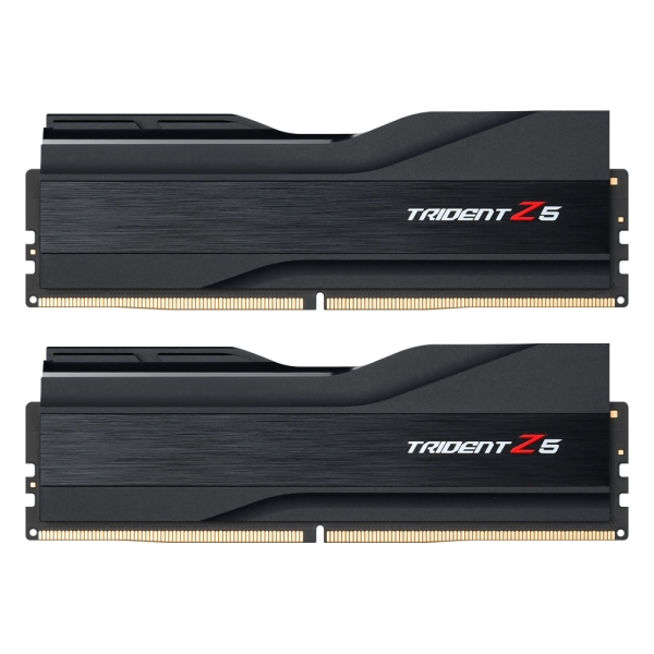 [오늘출발] G.SKILL DDR5-6000 CL30 TRIDENT Z5 J 패키지 (64GB(32Gx2))