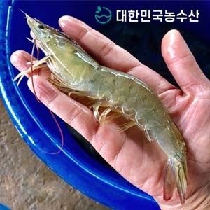[대한민국농수산]국산 흰다리새우 특왕새우 급냉새우 1kg (27미 내외) 외