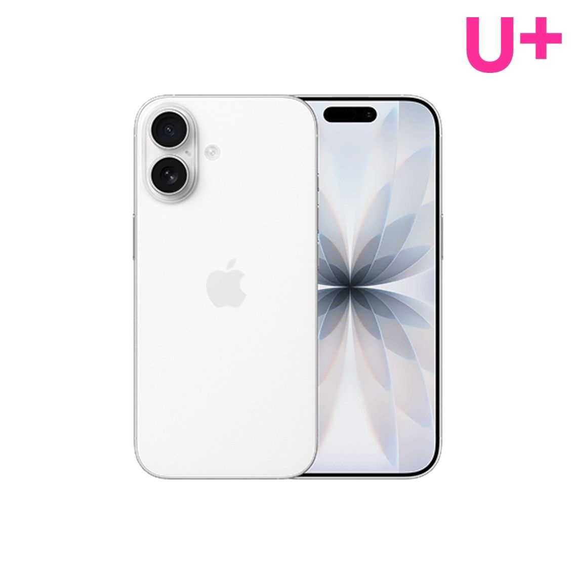 Apple 아이폰17 256GB / LGU+번호이동/공통지원/현금완납
