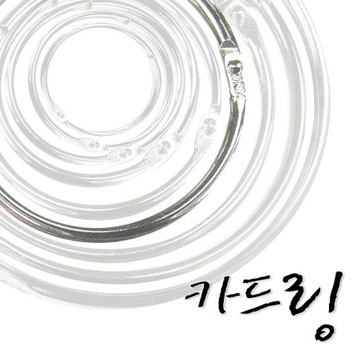 [서원]실버카드링 대2호 지름50mm 1개/카드링/카드고리/실버링/원형링/단어장/메모장/책철/쇠고리/