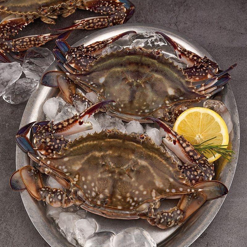 [롯데백화점] 자연맛남 26년 제철 활 숫꽃게 3kg (kg당4-5미/서해안 꽃게)