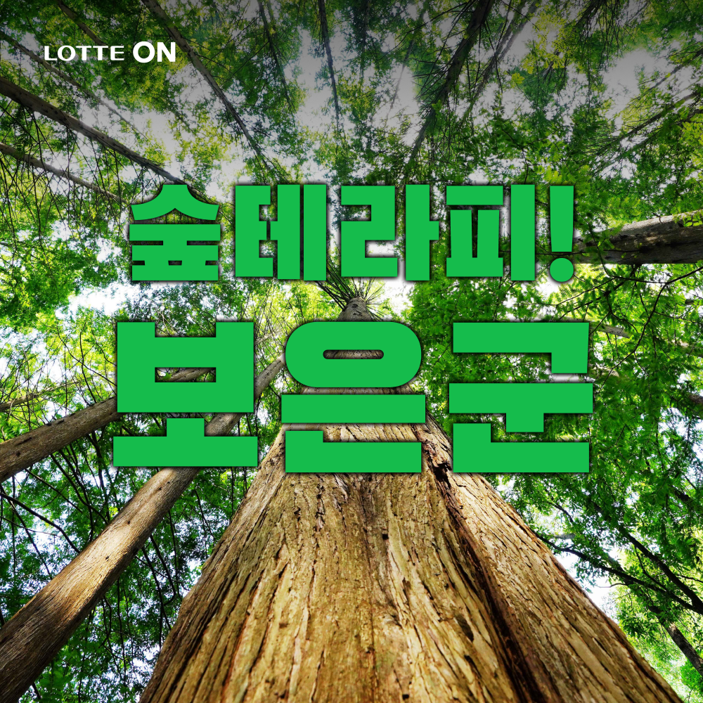 테마캠프 [당일여행] 숲테라피! 보은군 속리산 법주사, 옥천 화인산림욕장 메타세콰이어숲, 부소담악