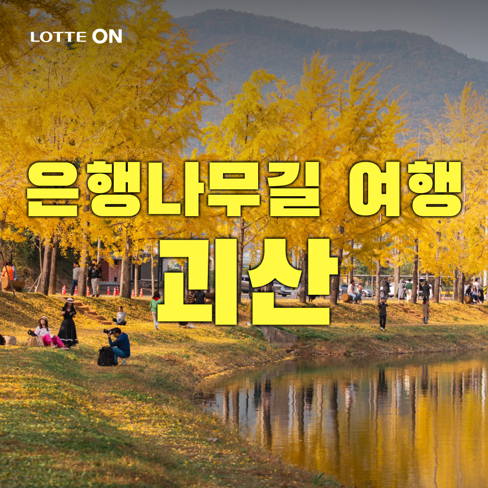 테마캠프 [당일여행] 괴산 산막이옛길 & 연하협구름다리, 수옥폭포, 충북아쿠아리움, 문광저수지 은행나무길 여행