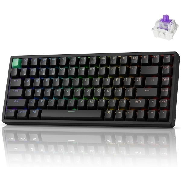 [해외] Keychron 키크론 K2 HE Rapid Trigger 무선 커스텀 기계식 키보드 홀 효과 Gateron 더블 레일 마그네틱 스위치 QMK 2.4GHz Bluetoo