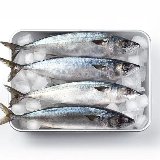 국내산 부산 자반 손질 특대 고등어 10미 3.5kg 내외