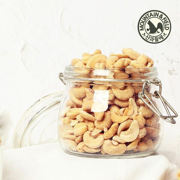 산과들에 (현대Hmall) [산과들에] 26년산 햇견과 생캐슈넛/볶음캐슈넛 500g∼400g 견과류