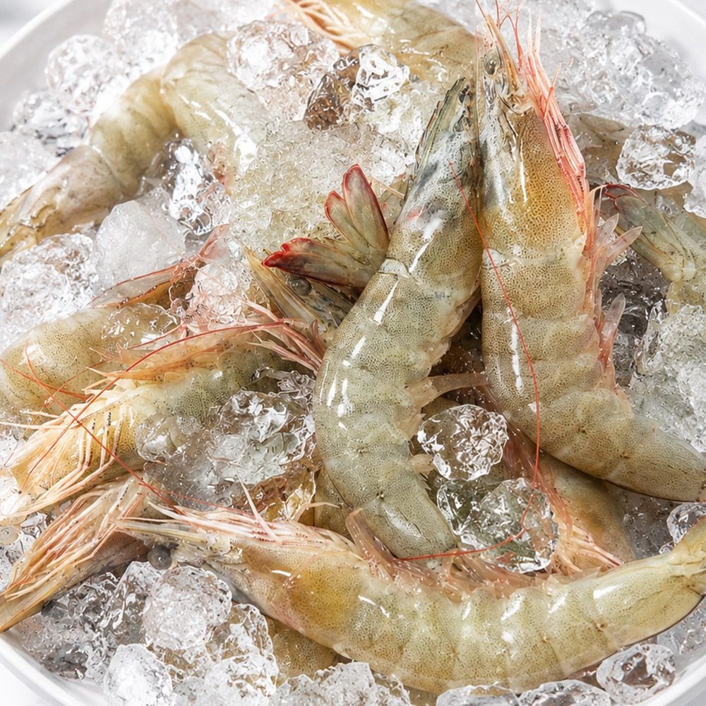 자연맛남 신안 제철 활 흰다리새우 500g 1kg