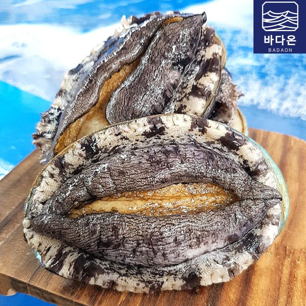 (현대Hmall) 완도활전복 1kg 8-9미(미당111g내외) [산소팩 무료배송]