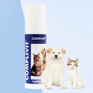 벳플러스 콤플리비트 강아지 고양이 활력 영양제 150g, 2개