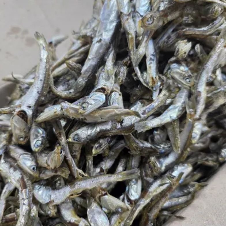 [최종가 9,120원] 남해안 햇 멸치 다시용멸치(1.5kg1박스)