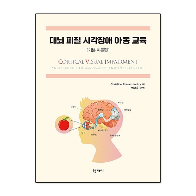 대뇌 피질 시각장애 아동 교육 기본 이론편