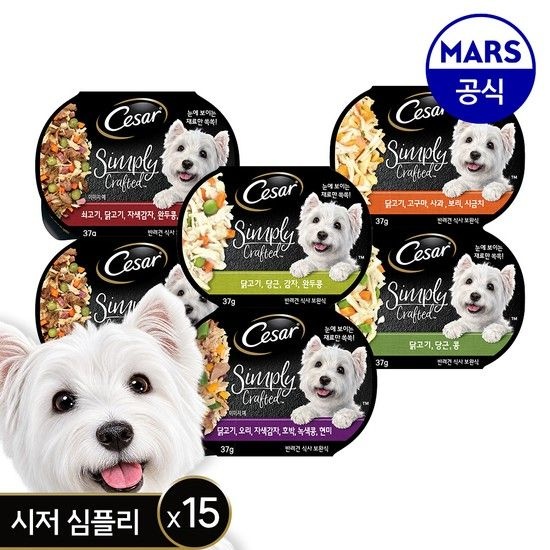 시저 심플리 크래프티드 37g x15개(+시저 배변봉투 + 리필)