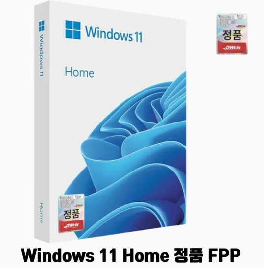 Microsoft Windows 11 Home FPP 처음사용자용 한글