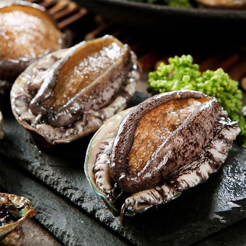 해신수산 완도활전복 중 22~25미 1kg
