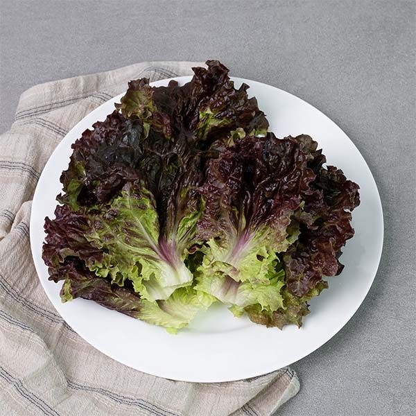 [롯데백화점] 자연맛남 GAP인증 농협 선별 적상추 500g