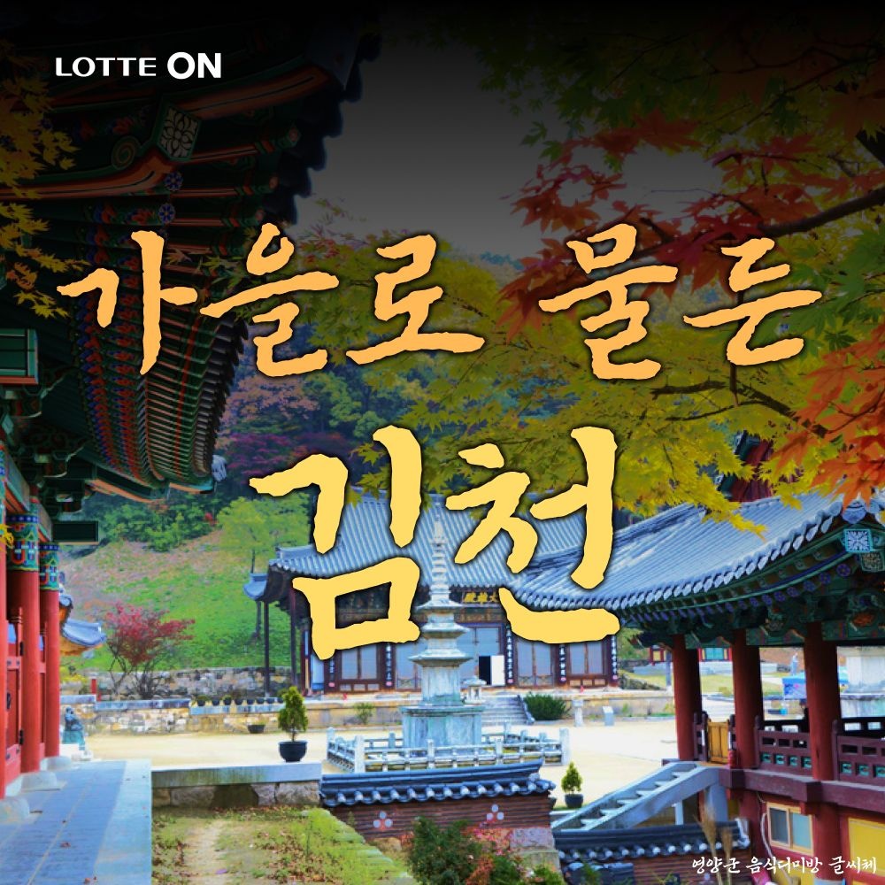 [당일여행] 가을로 물든 김천 직지사, 연화지 연꽃, 방초정, 부항댐출렁다리 (강변공원 핑크뮬리)