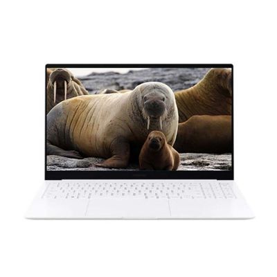 삼성노트북 갤럭시북2 프로 S.E NT950XFG-KC51S SSD 512GB