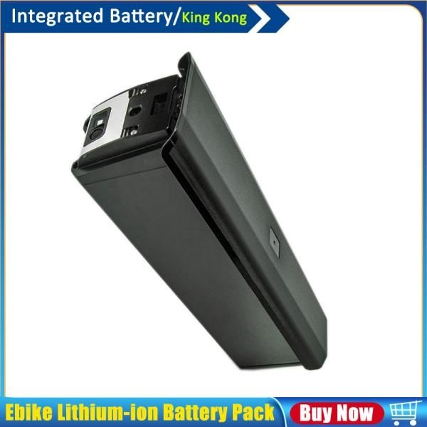 Lankeleisi MG600 Plus 리튬 이온 배터리 팩 48V