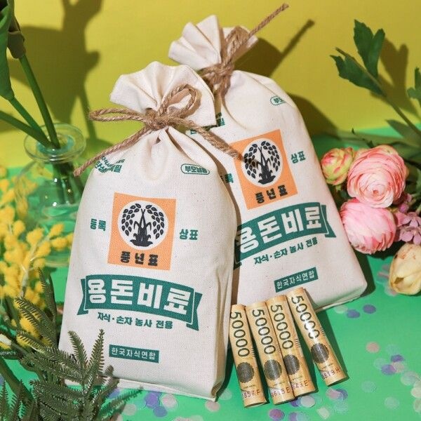 [갓샵] 비료 용돈 돈 현금 봉투 [효도 반전 용돈 이벤트 박스 어버이날 선물 부모님 생일 생신 포장]