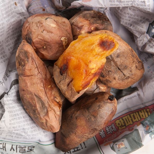 [하프클럽]산지직송 해남 꿀고구마 10kg 대왕