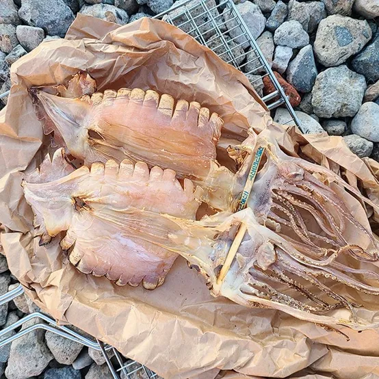 부드러운 국내산 마른오징어 10마리 소~특대 400g 500g 650g 750g 850g
