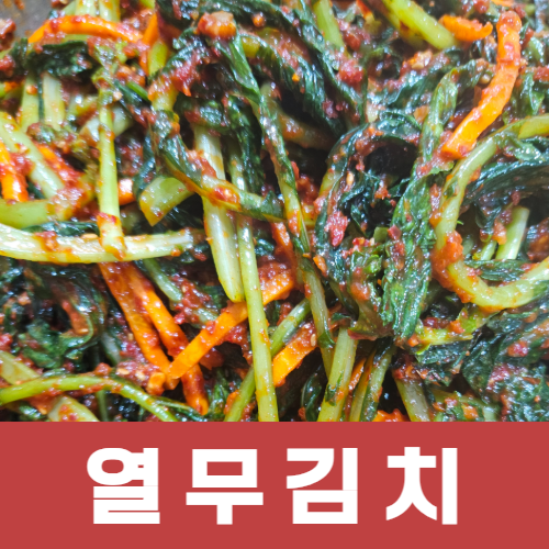 6시내고향 2년연속 출연 / 익산구시장 백년가게 춘포수산 열무김치 1kg 2kg 5kg