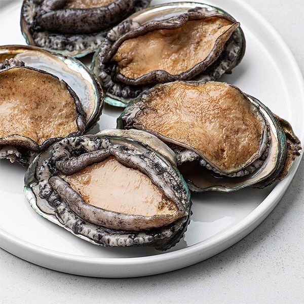 [롯데백화점] 자연맛남 친환경수산물인증 완도 활전복 왕특대 1kg 8-9미(세척솔증정)