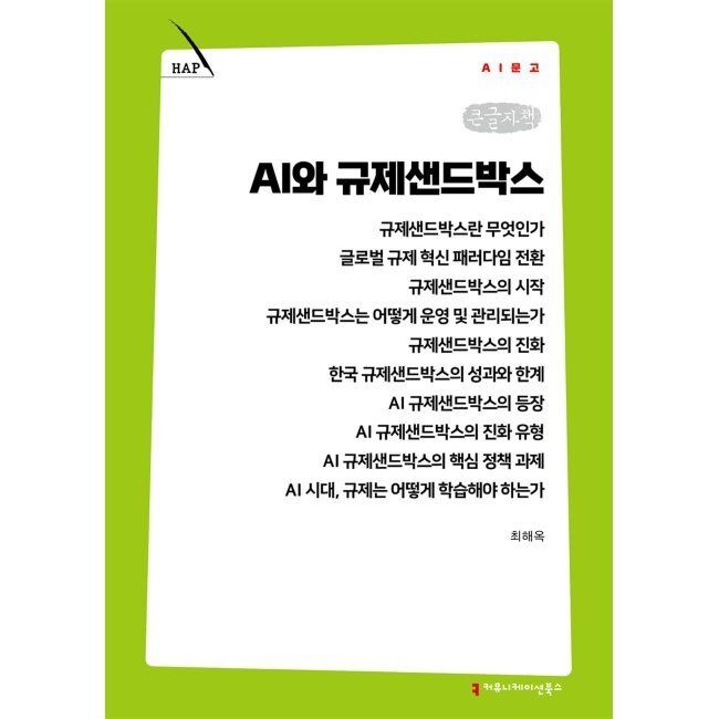커뮤니케이션북스 AI와 규제샌드박스 (큰글자책) / 최해옥