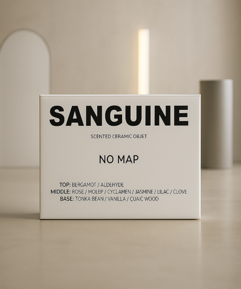 SANGUINE 차량용 디퓨저 리필 테라코타 148516