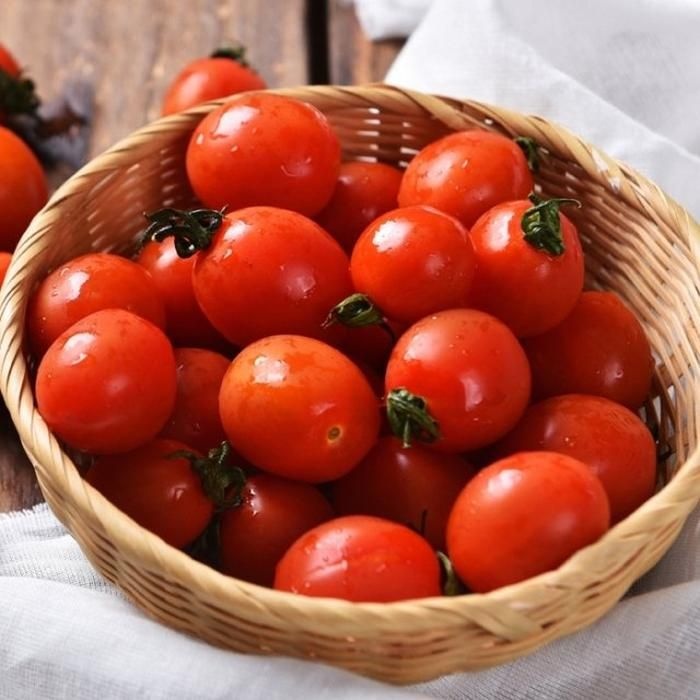 [자연품애]스윗 스테비아 대추방울단마토 1.5kg (500g*3팩)