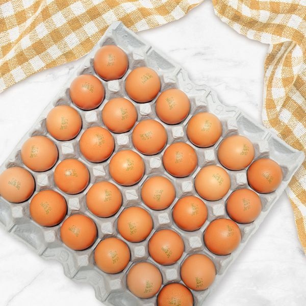 [하프클럽]큰손 구운계란 대란 2판(60구)