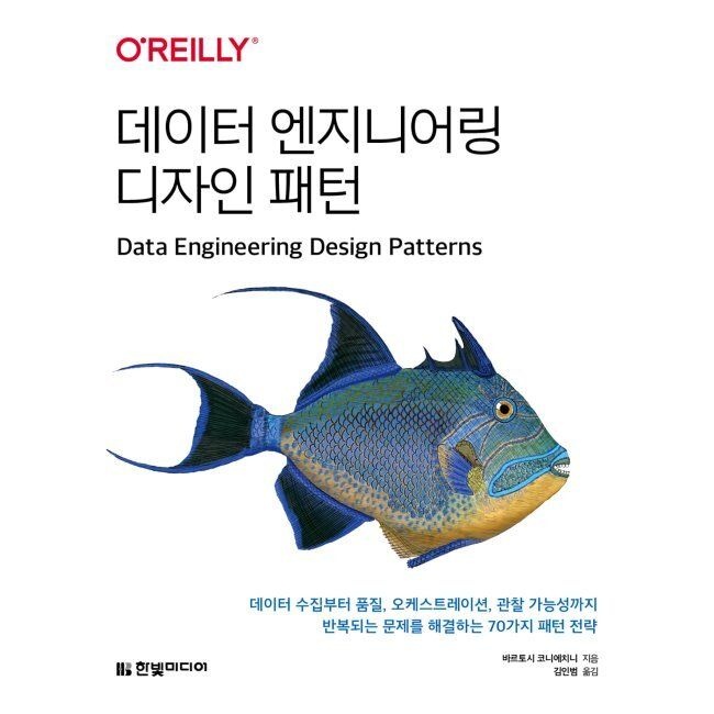 한빛미디어 데이터 엔지니어링 디자인 패턴 - 데이터 수집부터 품질, 오케스트레이션, 관찰 가능성까지 반복되는 문제를 해