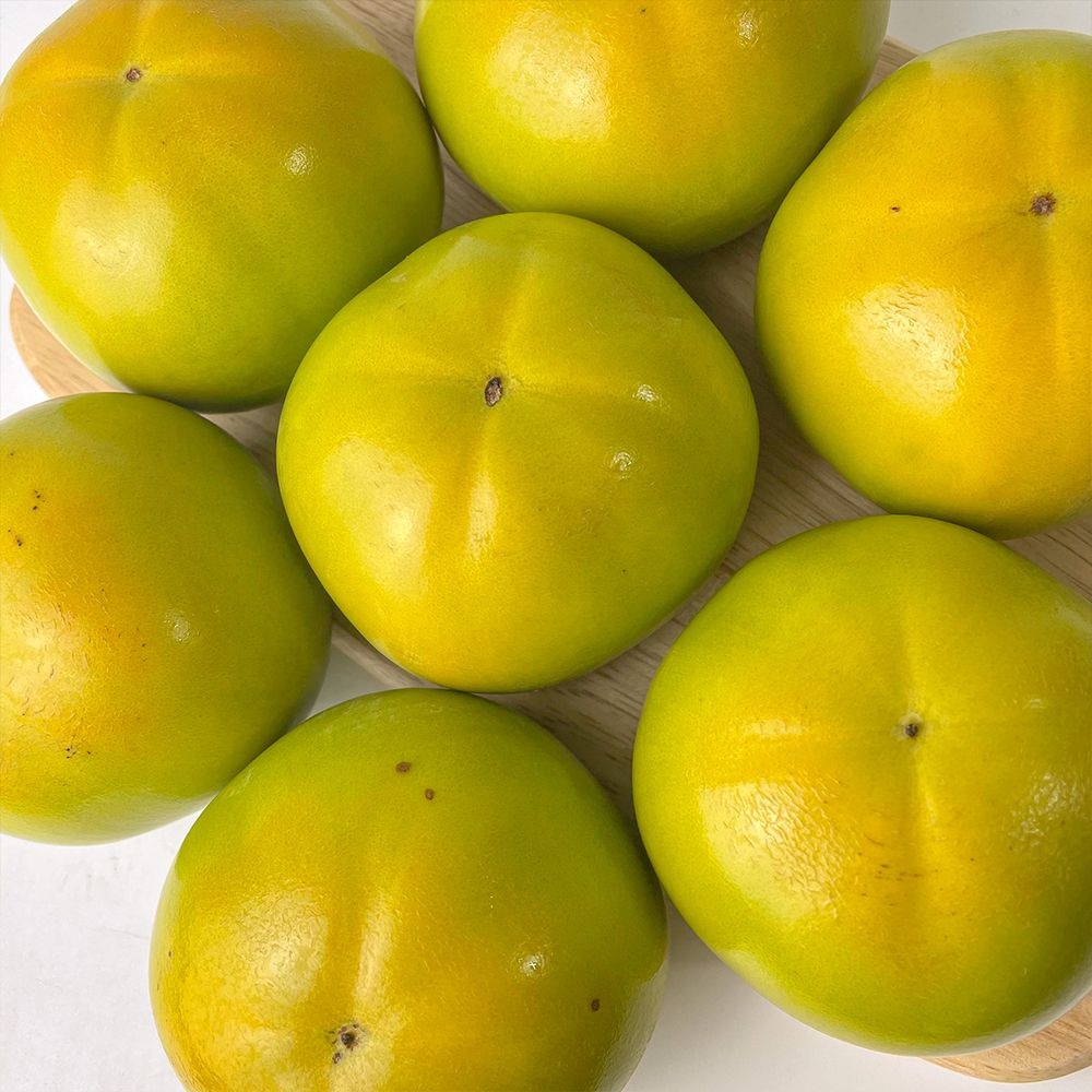 [농촌다참]배처럼 아삭하고 단감보다 달콤한 태추 단감 (2kg/3kg)