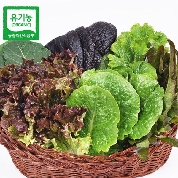[푸르젠] 당일수확 발송 유기농 모듬 쌈채소(야채) 600g