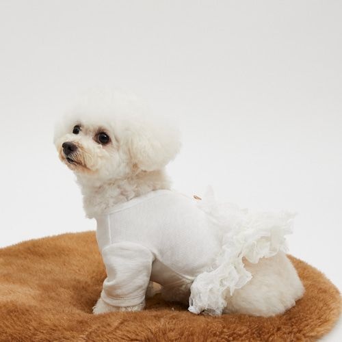 펄 TUTU 화이트