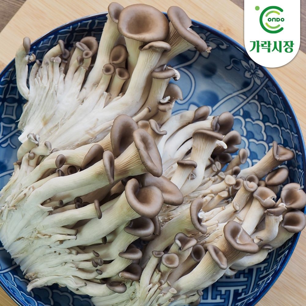 온도씨 [온도씨]가락시장 당일경매 느타리버섯 500g