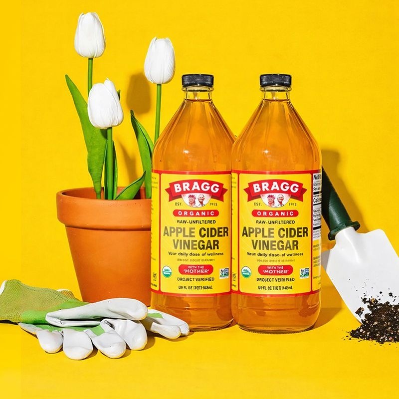 브래그 유기농 애사비 애플사이다비니거 946ml, 2개
