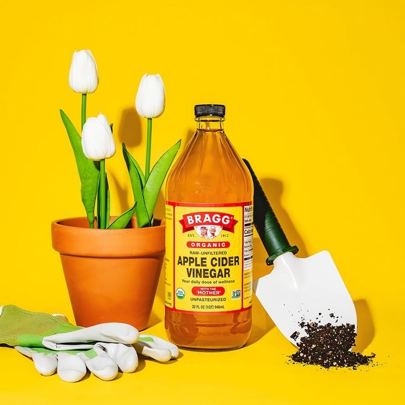 브래그 유기농 애사비 애플사이다비니거 사과식초 946ml, 1개
