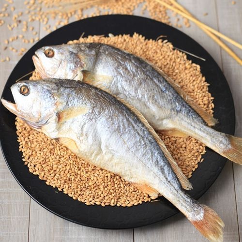 굴비가 [굴비家]잘말린 보리굴비 진공팩 5마리 27-29cm