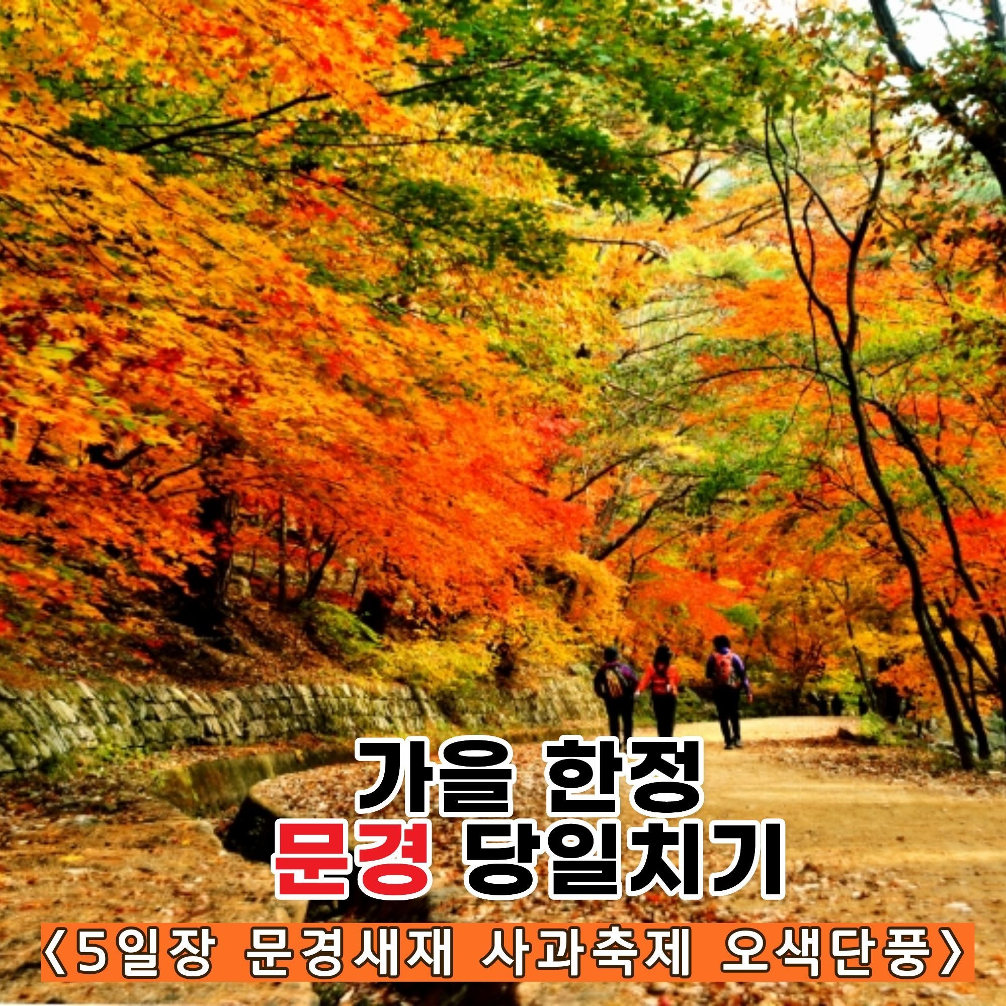 가을 문경 당일치기 여행 전통5일장 문경새재 사과축제 오색단풍