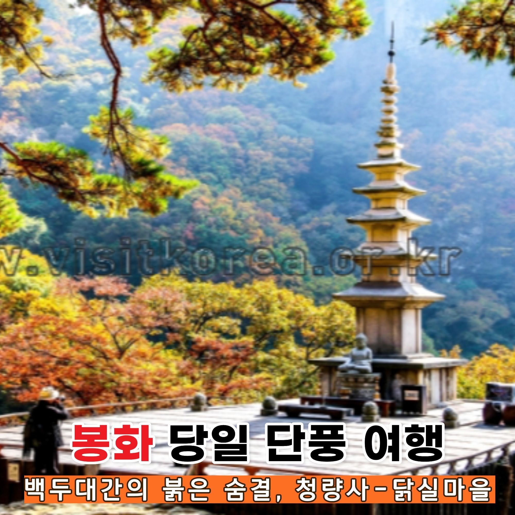 봉화여행 청량산 청량사 닭실마을 청암정 단풍구경 당일여행 0.00건 리뷰