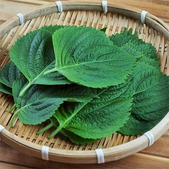 자연맛남 GAP인증 농협선별 추부깻잎 1kg 외 중량별