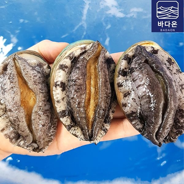 바다온 완도활전복1kg(8~9미)