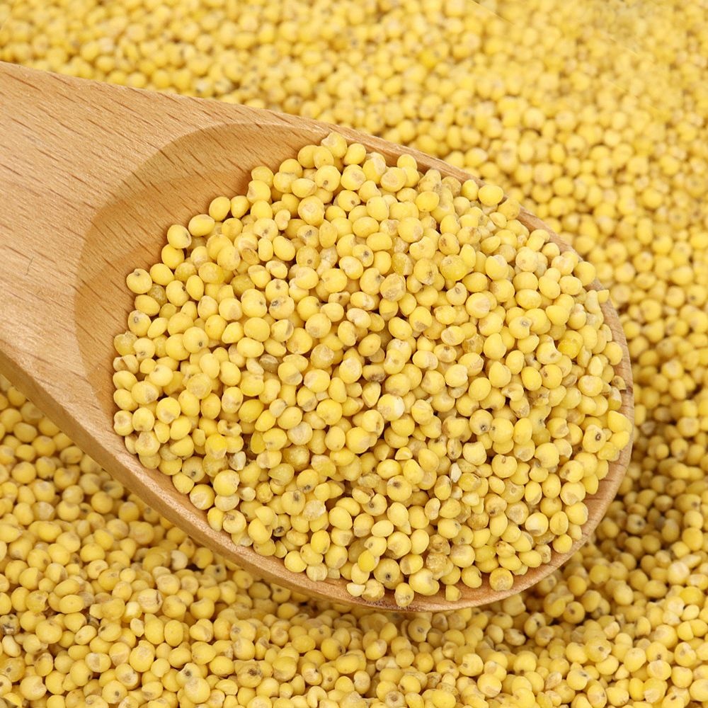 자연닮음 국산 햇곡 찰기장 기장쌀 1kg 좁쌀