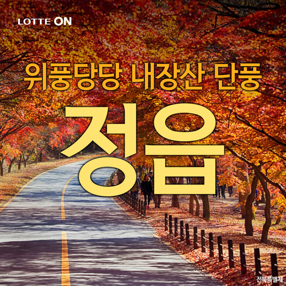 테마캠프 [당일여행] 정읍 위풍당당 내장산 단풍, 전주한옥마을
