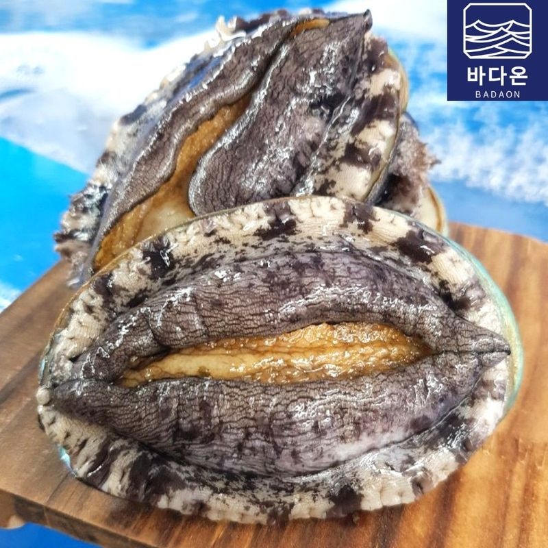 바다온 완도활전복 1kg 9-10미(미당100g내외) [산소팩, 무료배송]