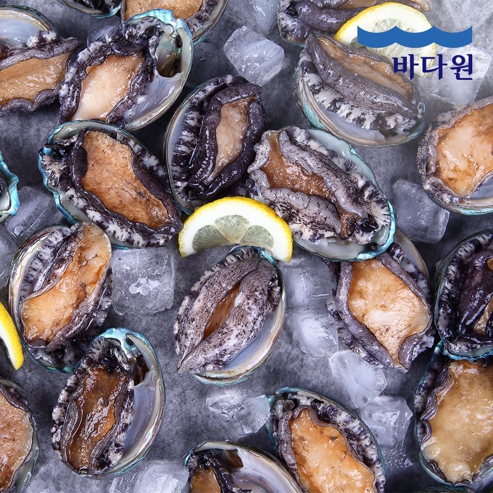 바다원 (현대Hmall) 바다원 산지직송 완도 활전복 1kg (12-13미 내외) 싱싱한 전복